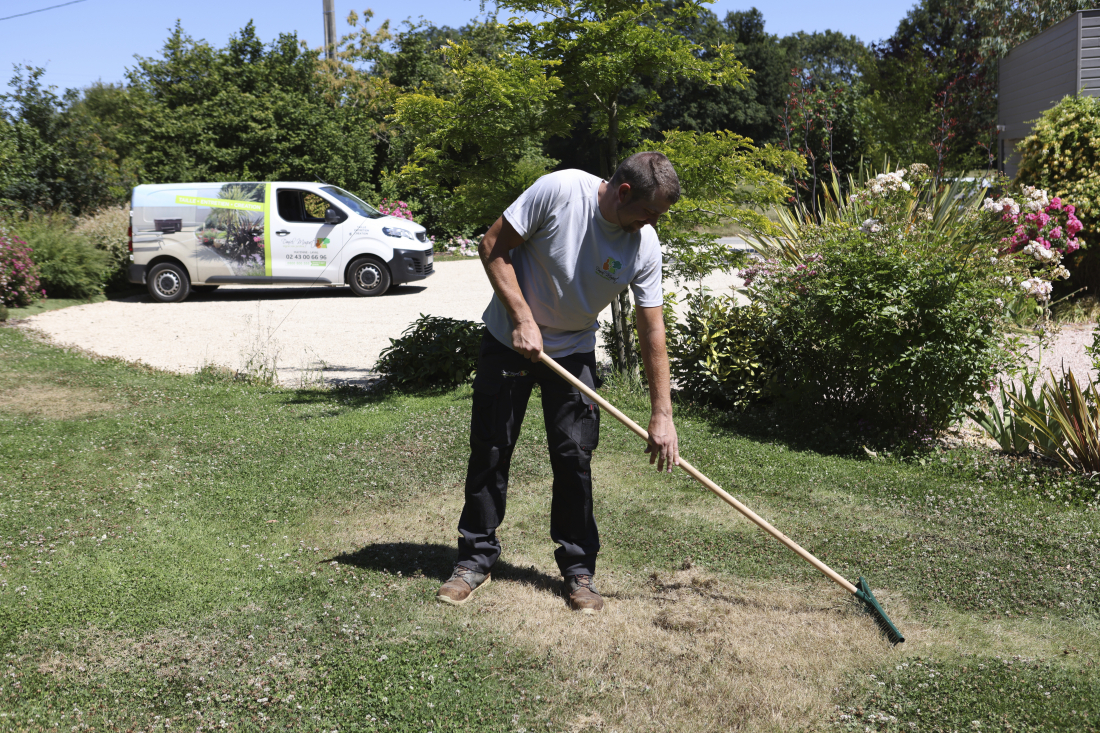 entretien d'une pelouse