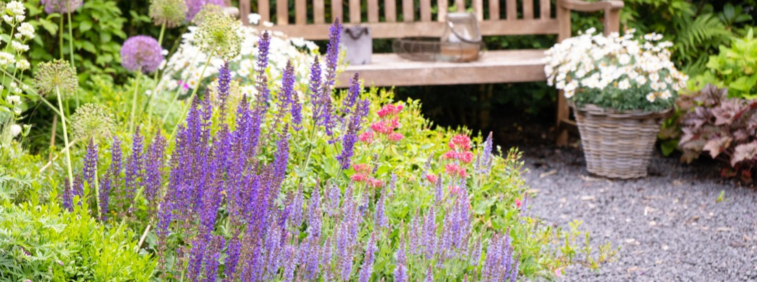 Jardin à la française