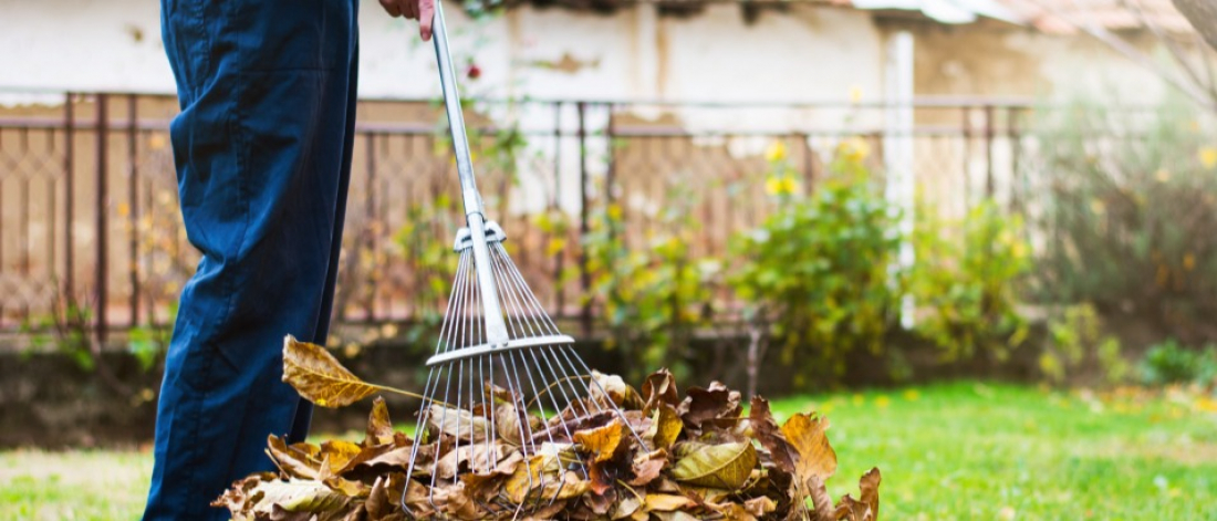 Nettoyage les alentours de votre terrasse