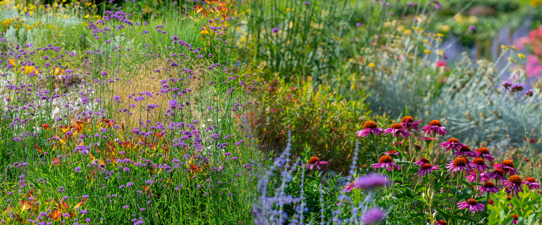 Massif fleuri