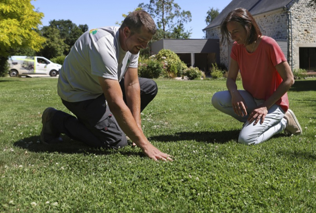 Conseil avisé du jardinier