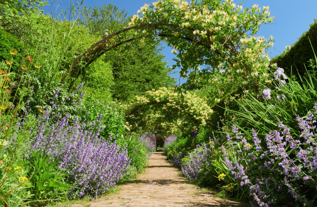 Magnifier votre jardin