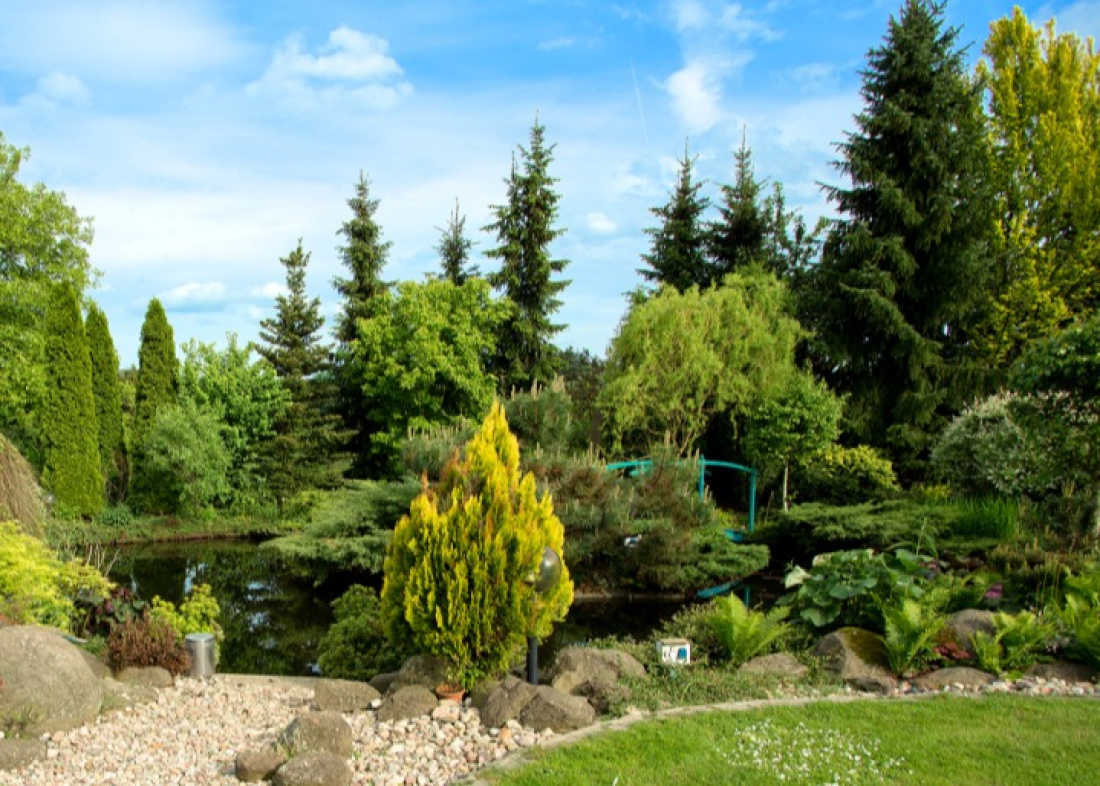 Un beau jardin de résineux taillés