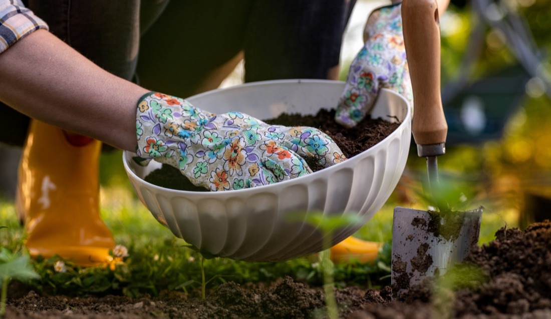 Fertilisant naturel pour arbre fruitier