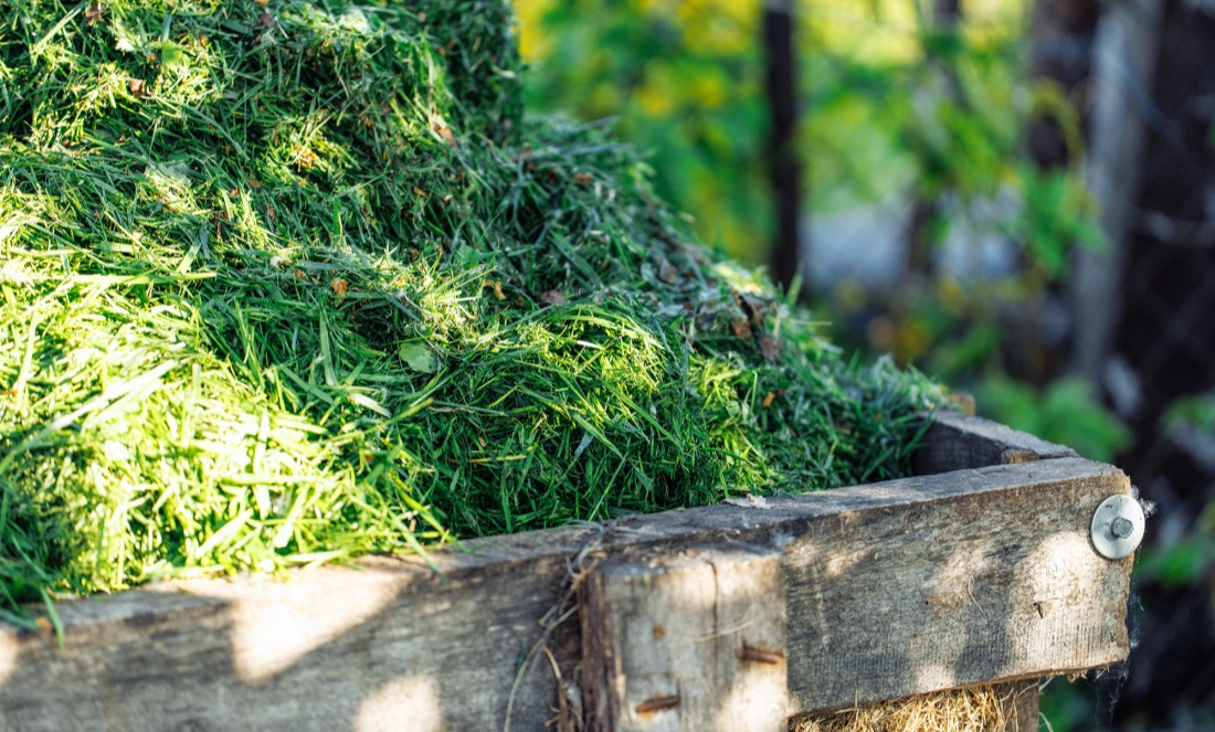 L'herbe coupée permet d'entretenir votre jardin toute l'année