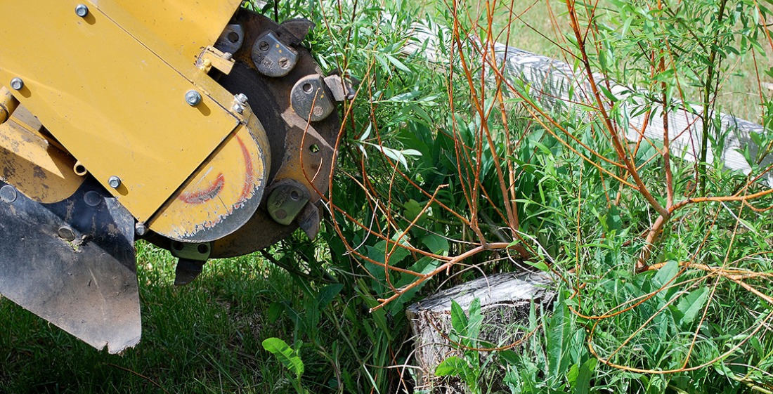 Dessoucheuse enlevant une souche en bois