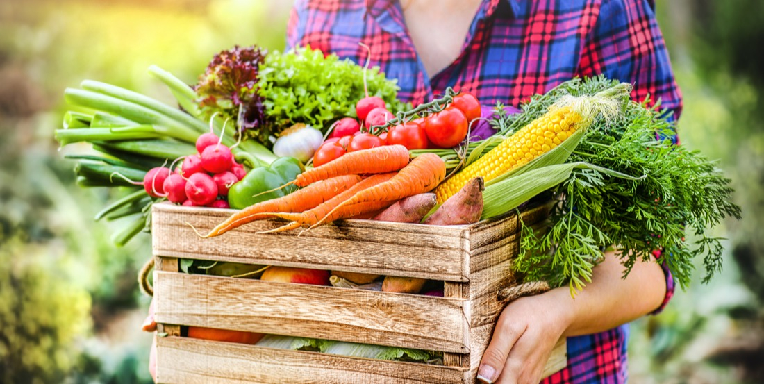 Exemple de travaux réalisés : la cueillette de votre potager