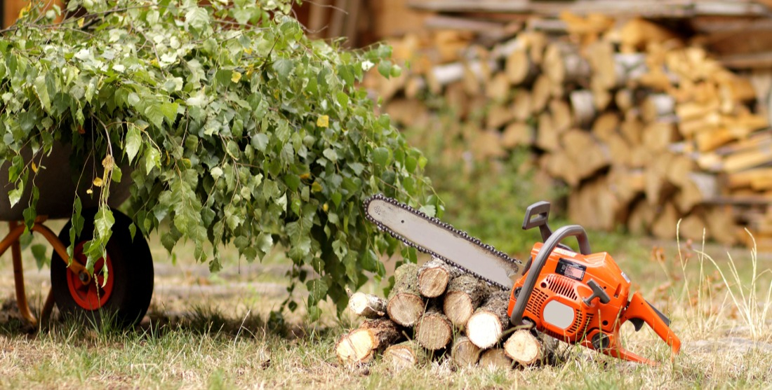 Élager votre jardin pour sa santé