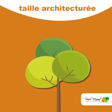 La taille architecturée : style et caractère